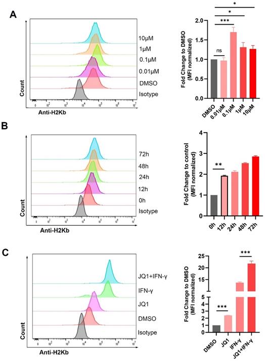 J Cancer Image