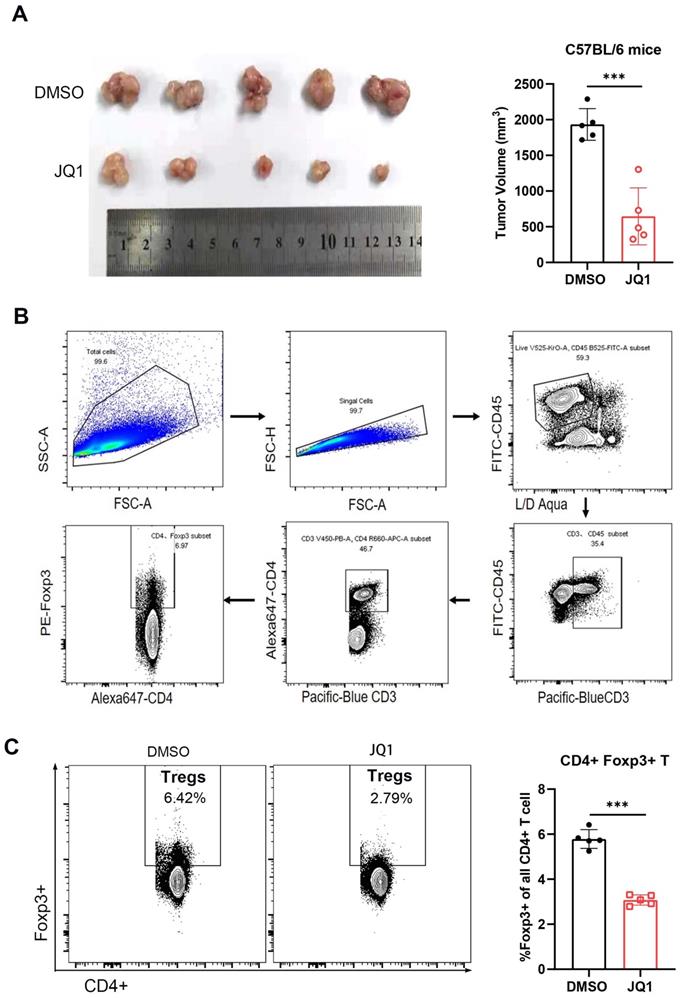 J Cancer Image