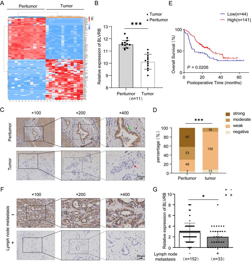 J Cancer Image