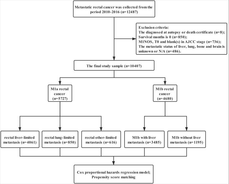 J Cancer Image