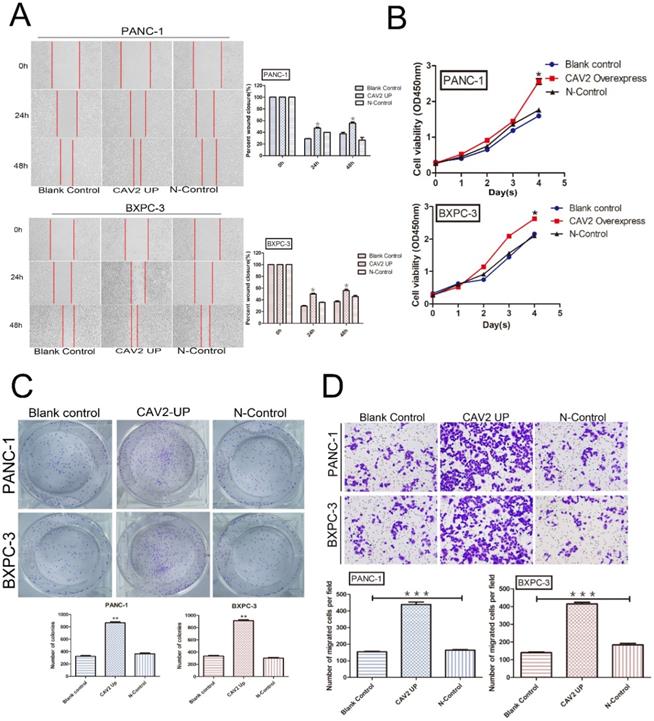 J Cancer Image