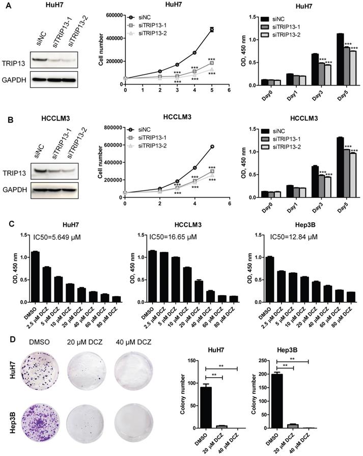 J Cancer Image