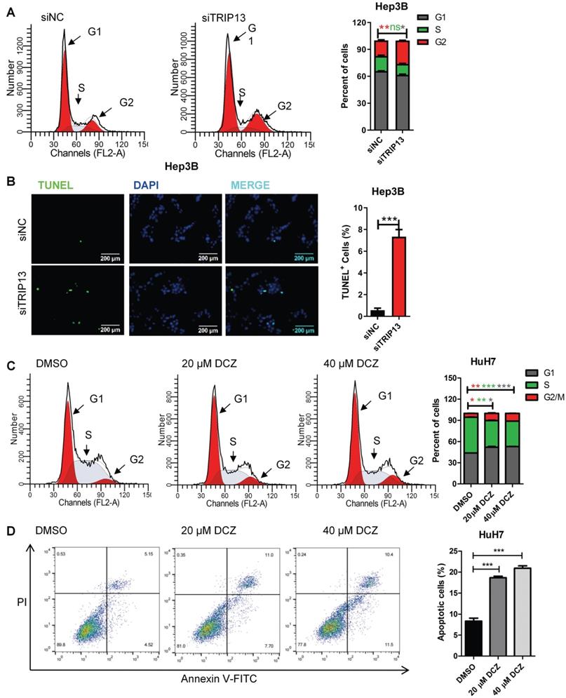 J Cancer Image