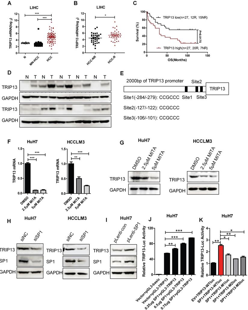 J Cancer Image