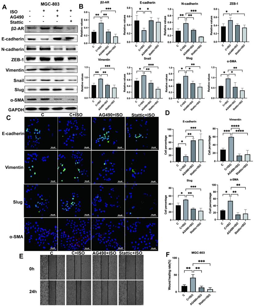 J Cancer Image