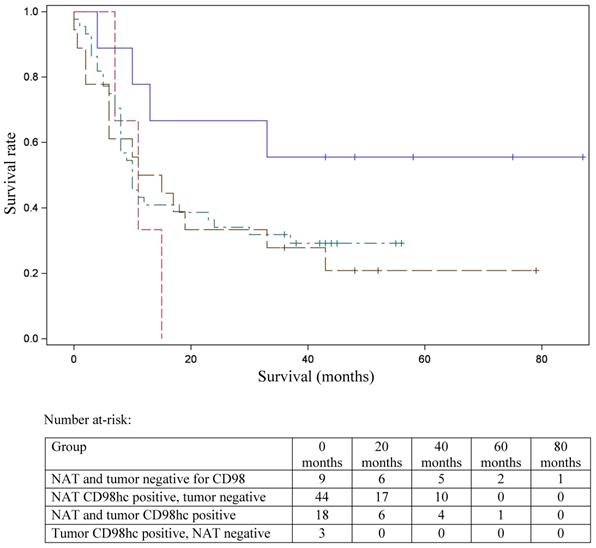 J Cancer Image