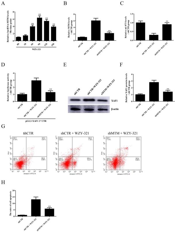 J Cancer Image