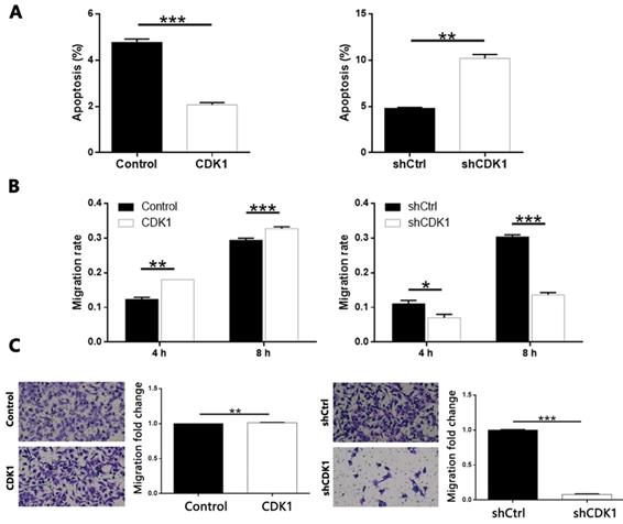 J Cancer Image