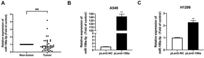 J Cancer Image