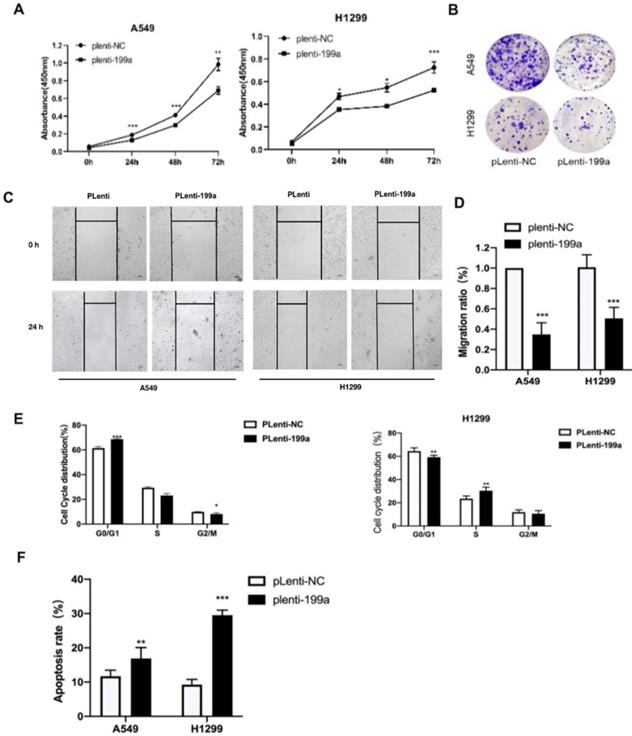 J Cancer Image