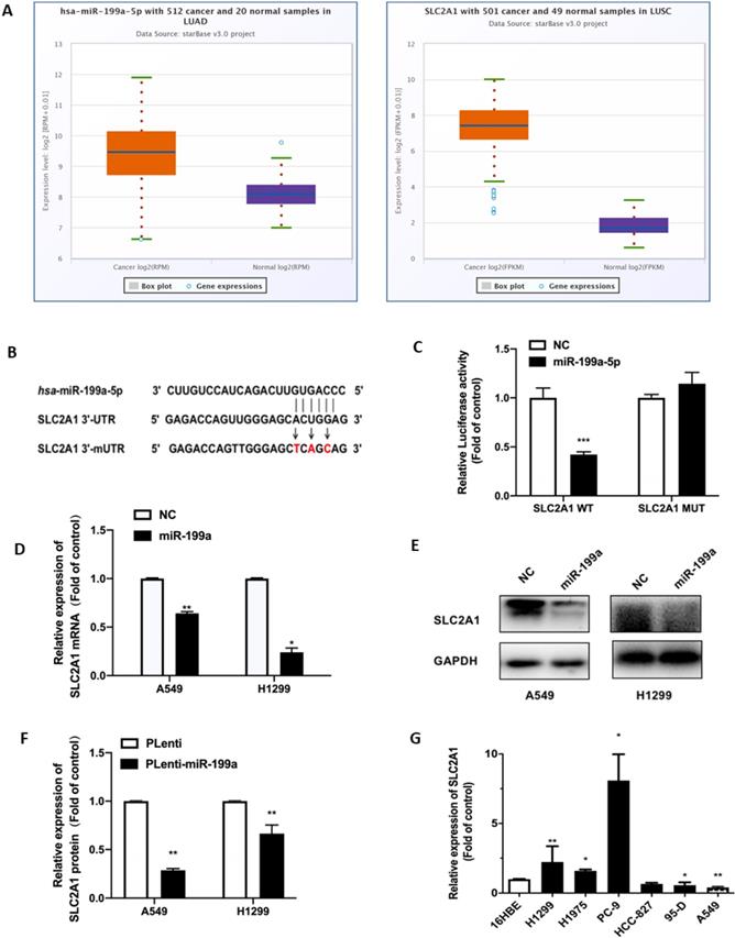 J Cancer Image