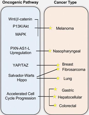 J Cancer Image