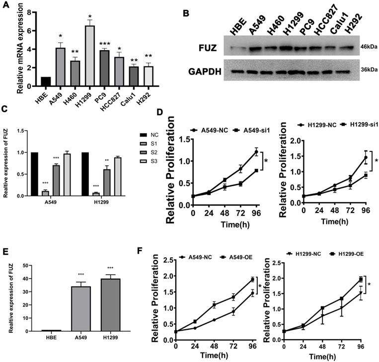 J Cancer Image