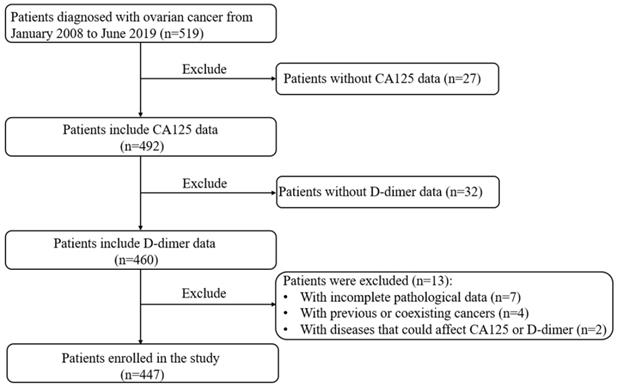 J Cancer Image