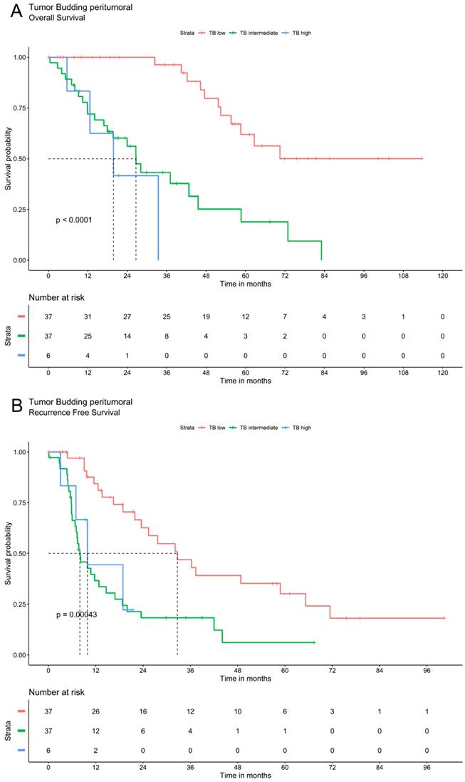 J Cancer Image