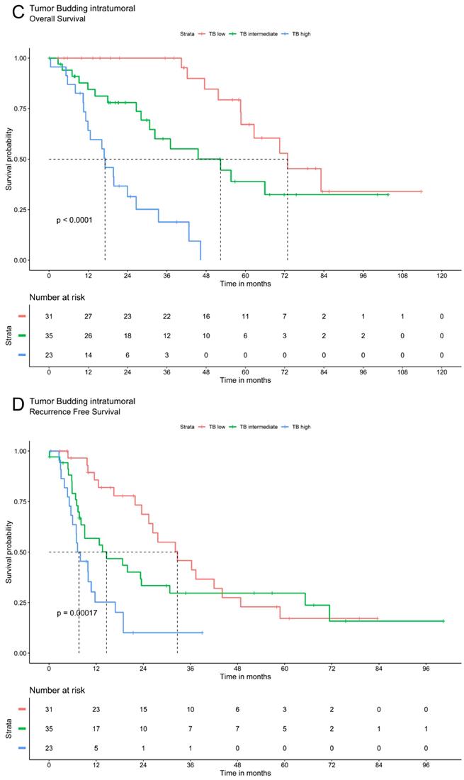 J Cancer Image