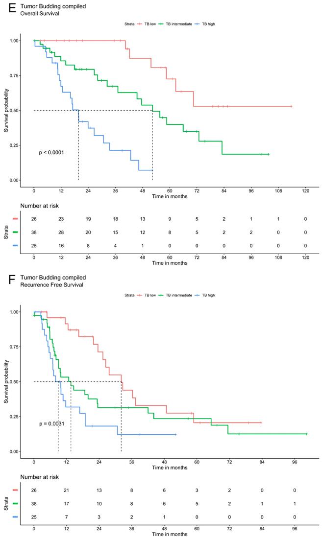 J Cancer Image