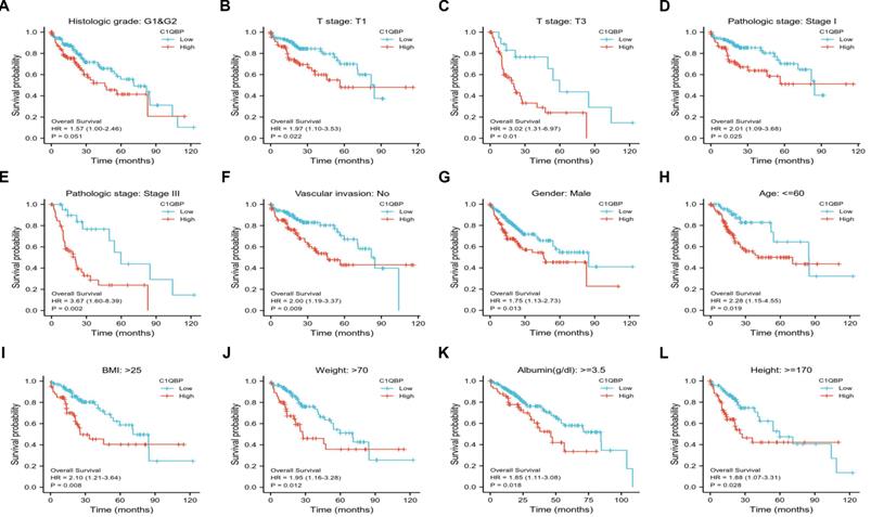 J Cancer Image