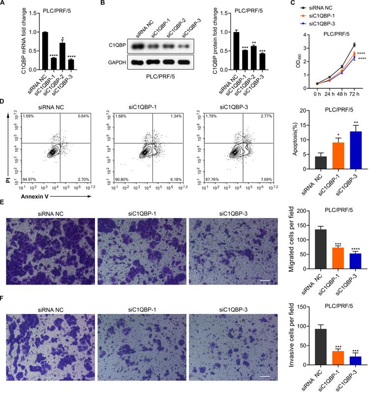 J Cancer Image