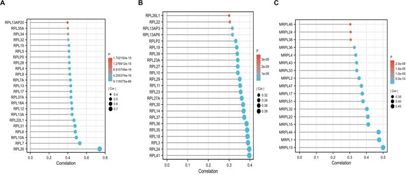 J Cancer Image