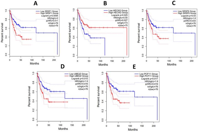 J Cancer Image