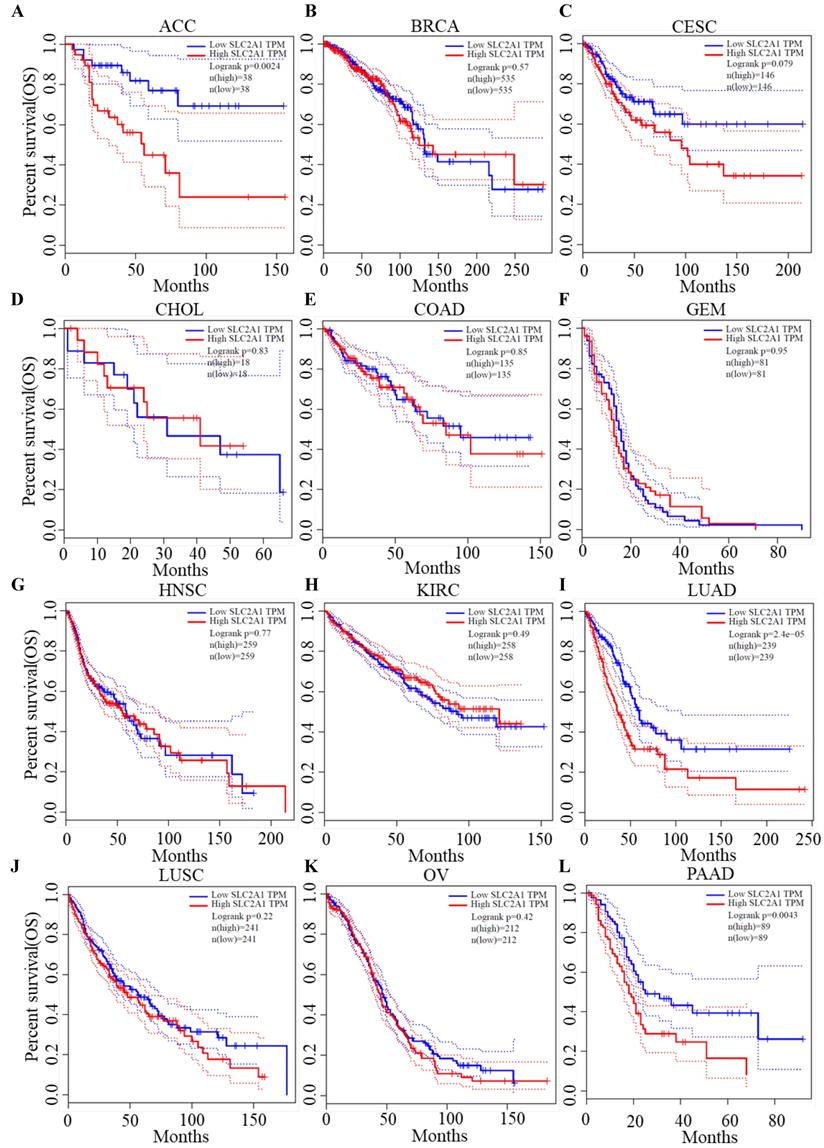 J Cancer Image