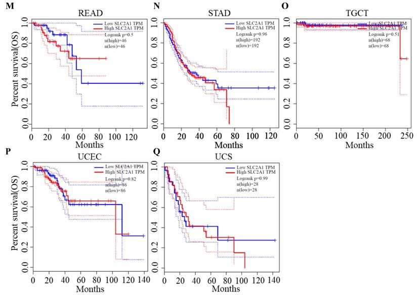 J Cancer Image