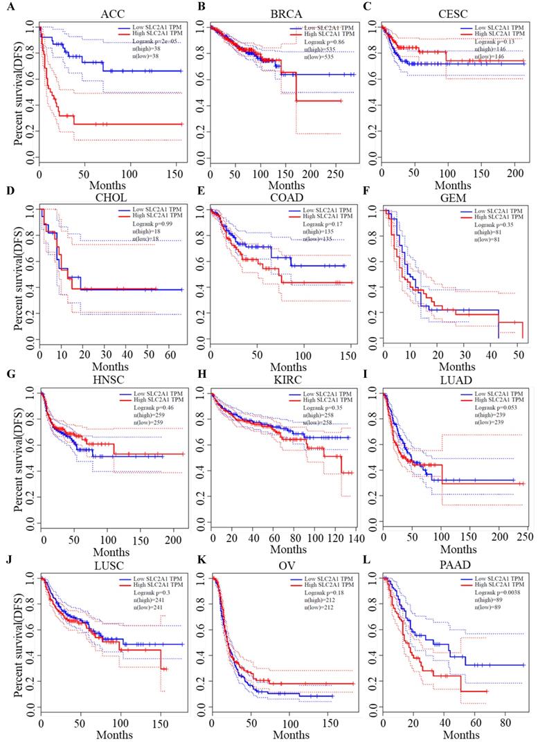 J Cancer Image