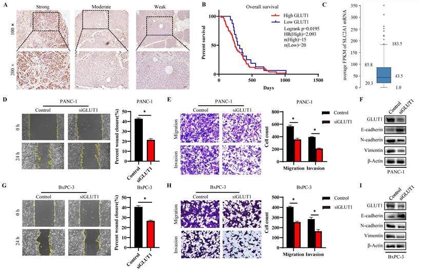 J Cancer Image