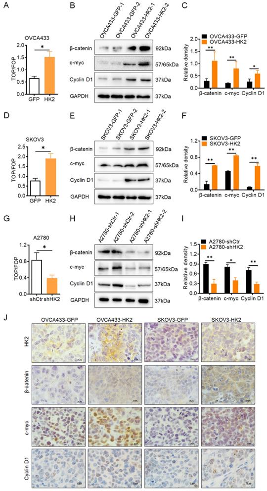 J Cancer Image