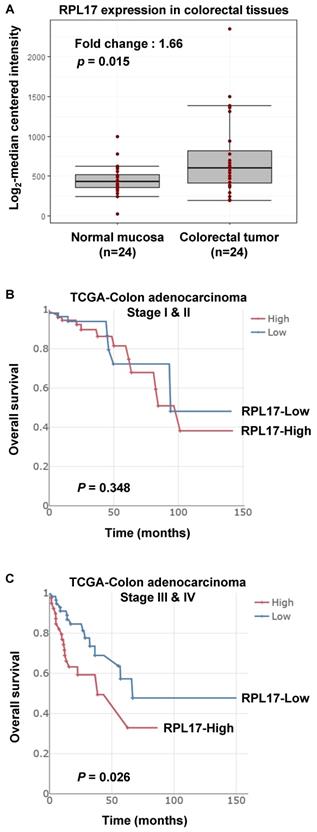 J Cancer Image