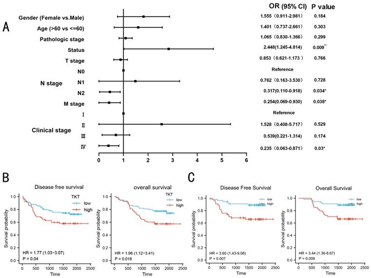 J Cancer Image