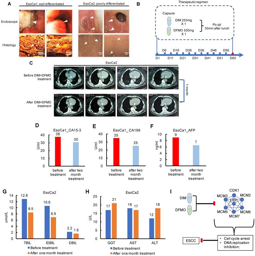 J Cancer Image