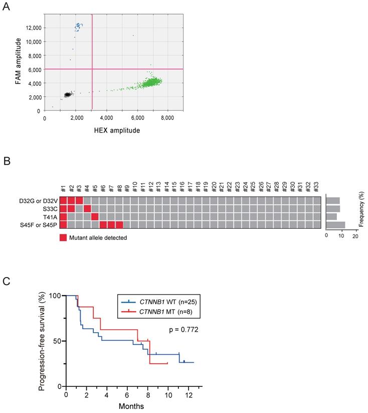 J Cancer Image