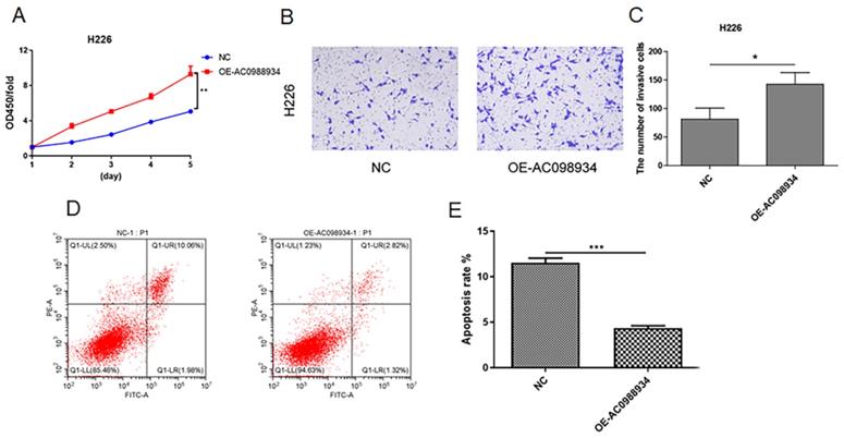 J Cancer Image