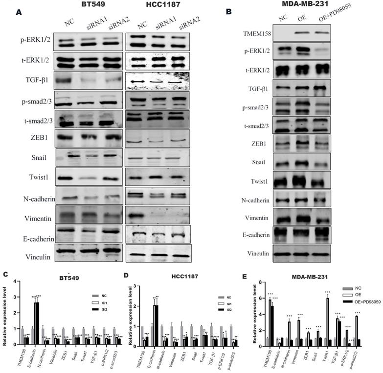 J Cancer Image