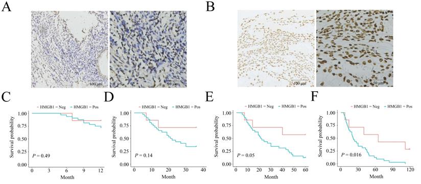 J Cancer Image