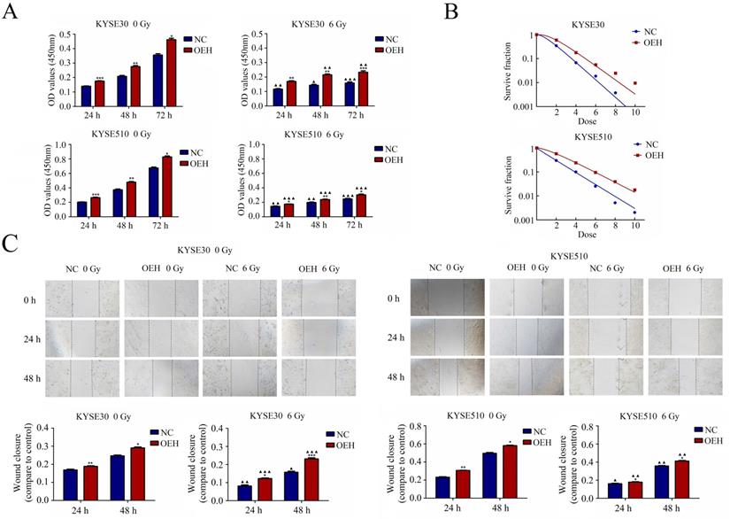 J Cancer Image