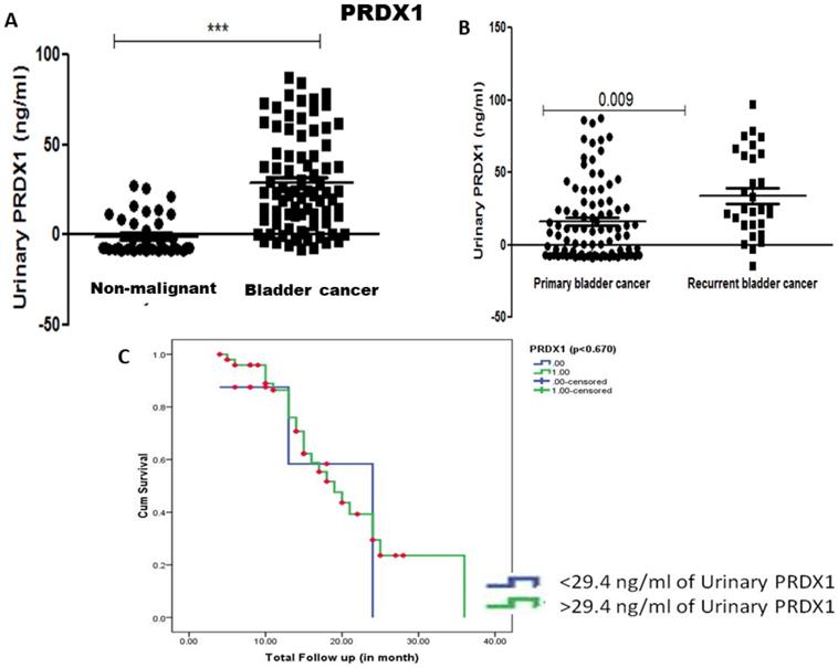 J Cancer Image