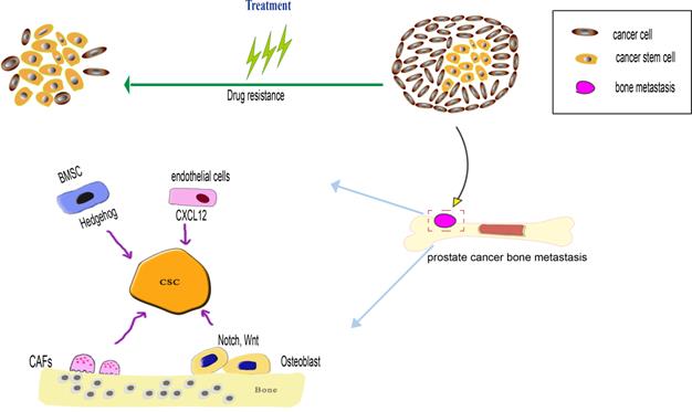 J Cancer Image