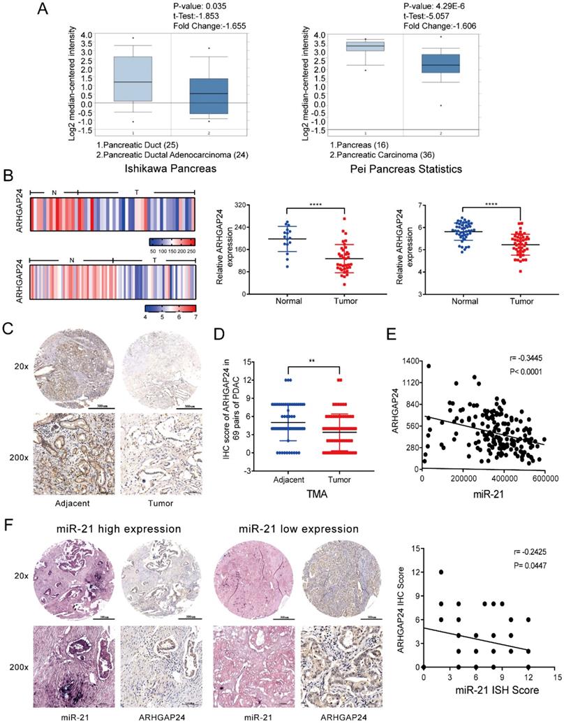 J Cancer Image