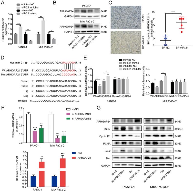 J Cancer Image