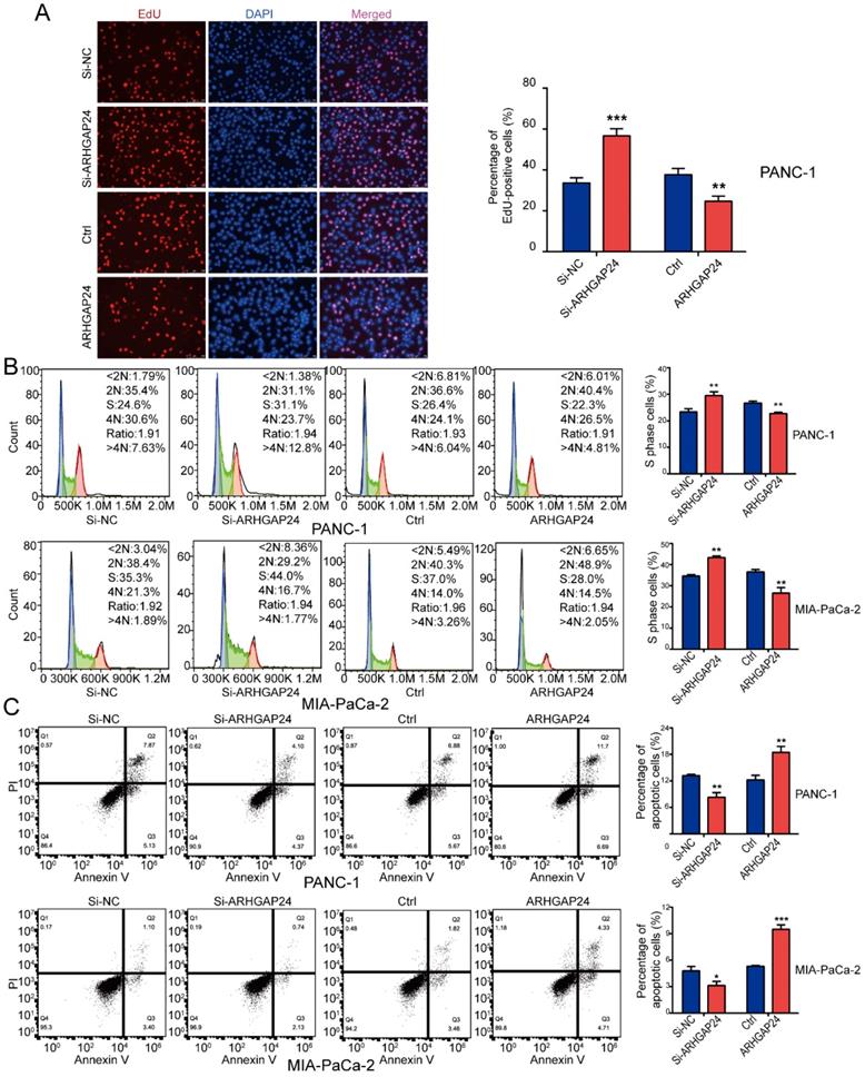 J Cancer Image