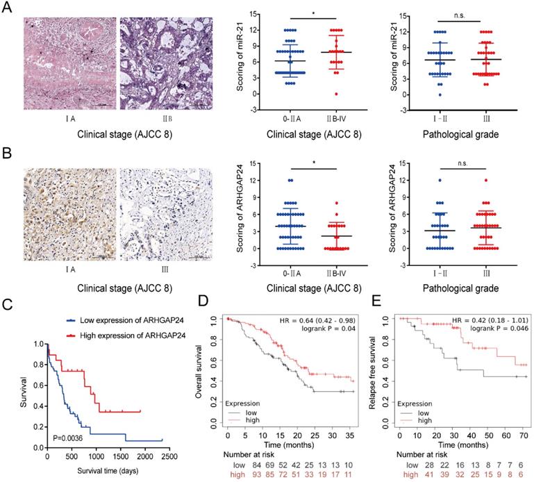 J Cancer Image