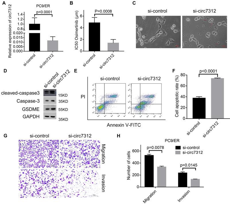 J Cancer Image