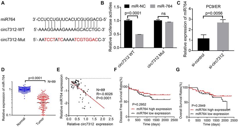 J Cancer Image