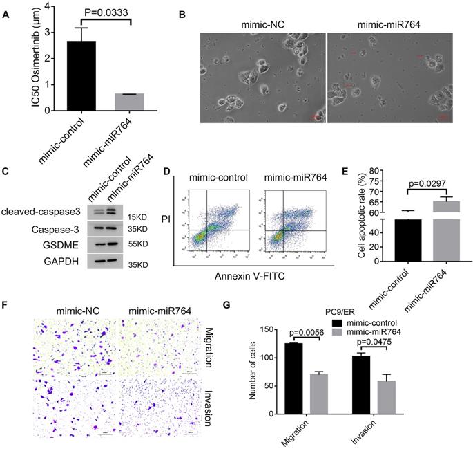 J Cancer Image