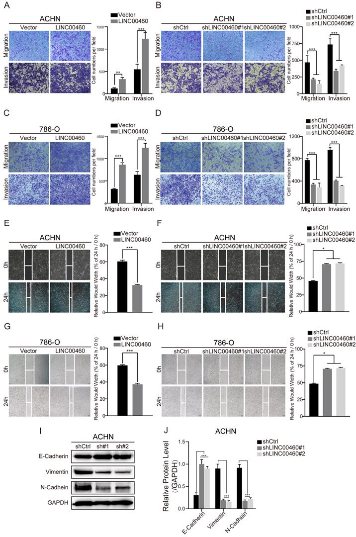 J Cancer Image