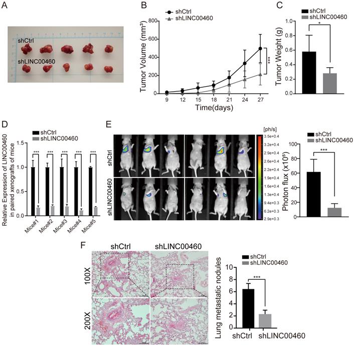 J Cancer Image