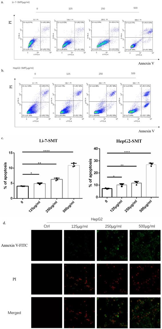 J Cancer Image